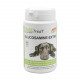 PhytoTreat Glucosamine-Extra voor de hond