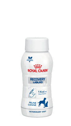 Royal Canin Veterinary Recovery Liquid Hond & Kat