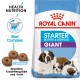 Royal Canin Giant Starter Hundefutter