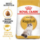 Royal Canin Adult Ragdoll Katzenfutter