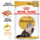 Royal Canin Persian Adule Pâtée