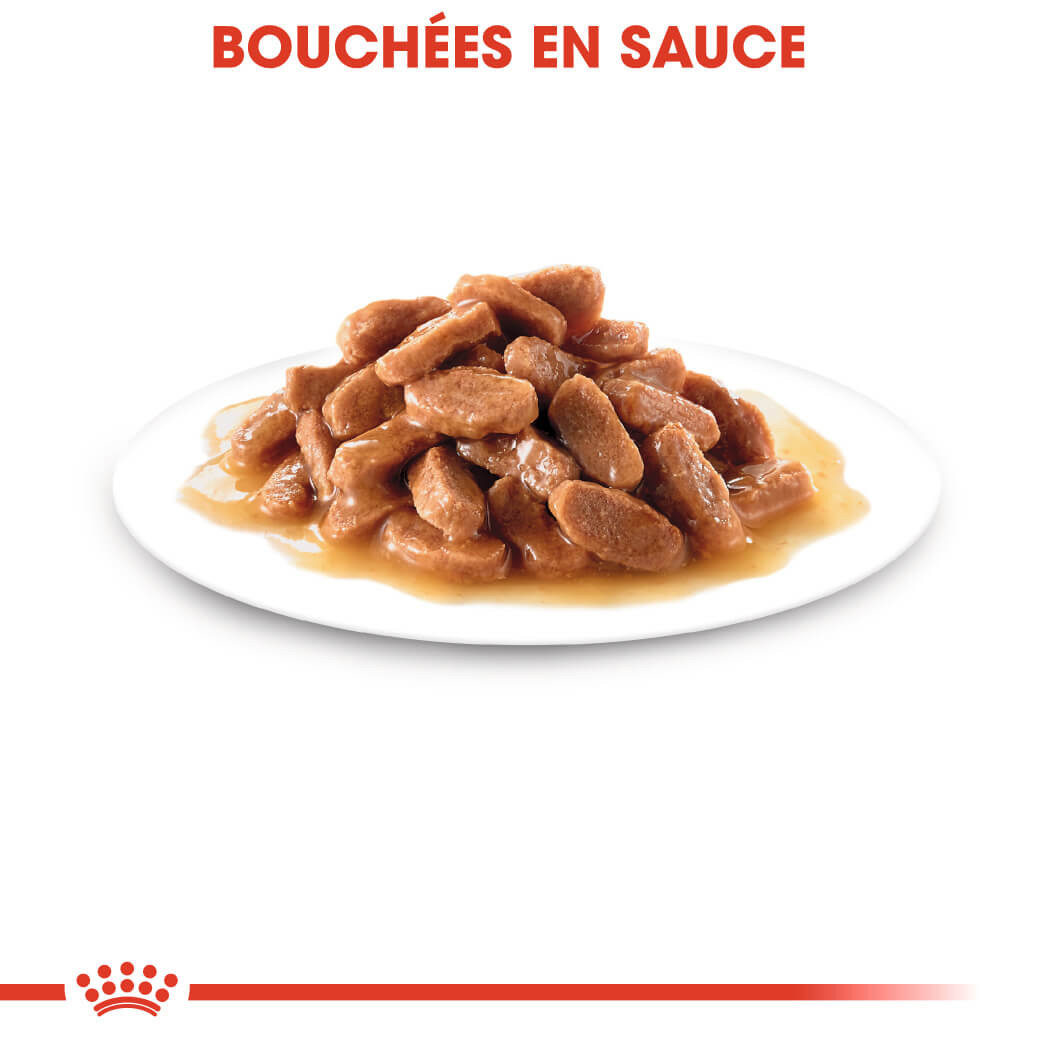 Royal Canin Kitten en sauce pâtée pour chaton (85 g)