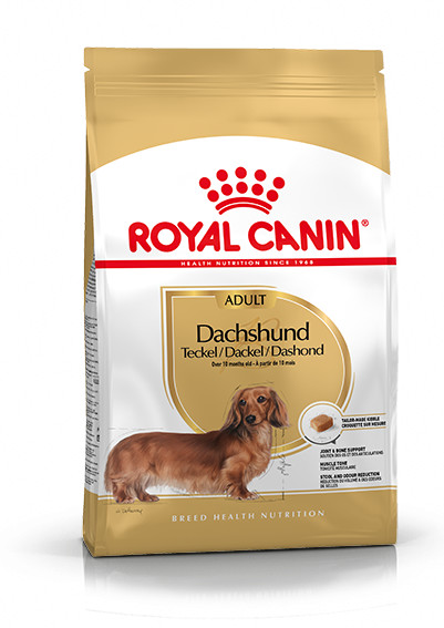 Royal Canin Adult Teckel pour chien