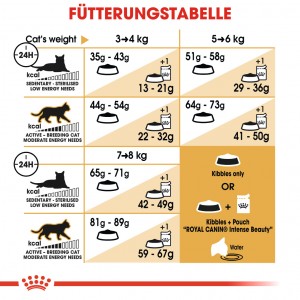Royal Canin Adult Ragdoll Katzenfutter
