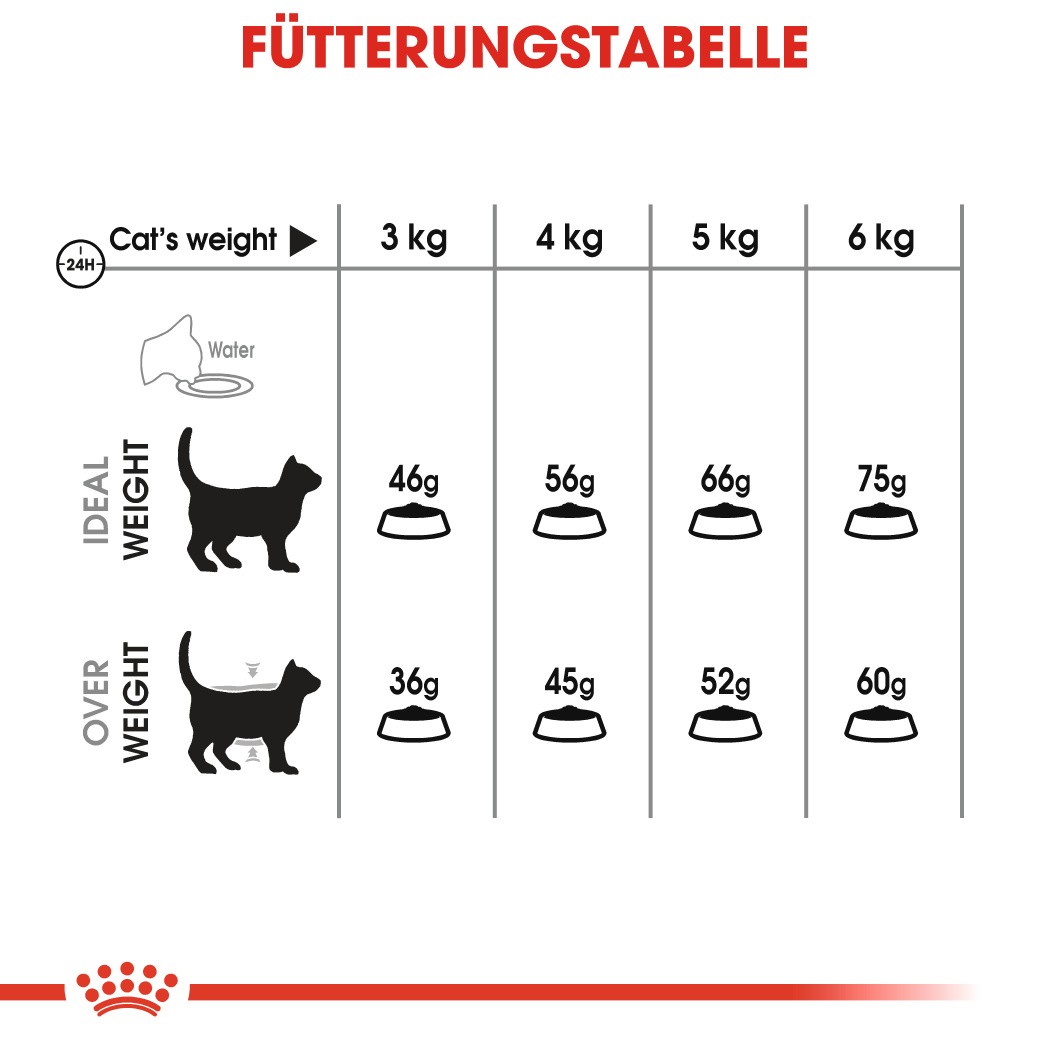 Royal Canin Dental Care Katzenfutter