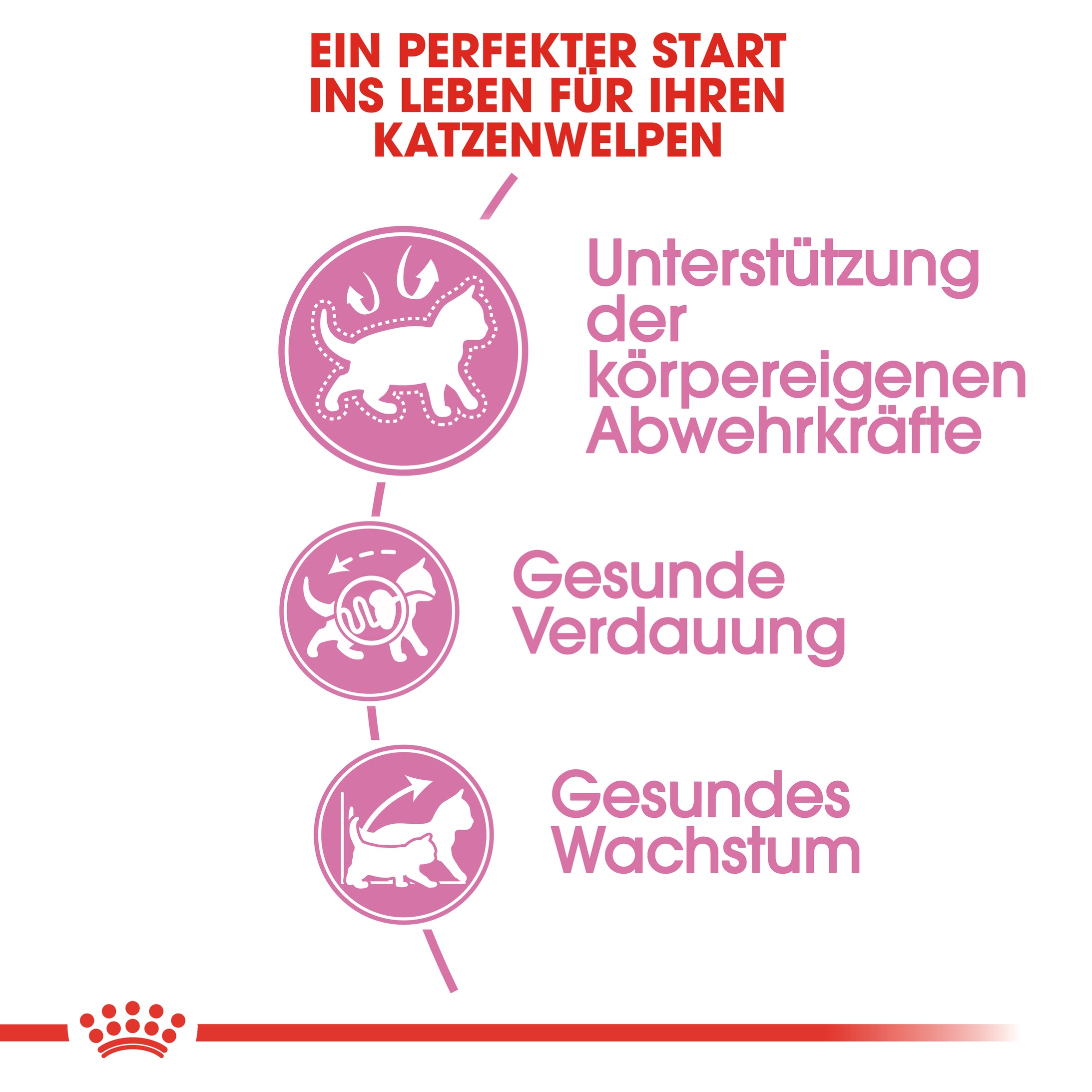 Royal Canin Kitten Katzenfutter