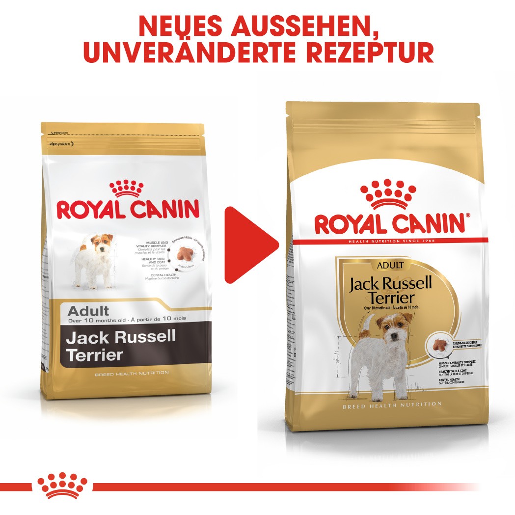 Royal Canin Adult Jack Russell Terrier Hundefutter