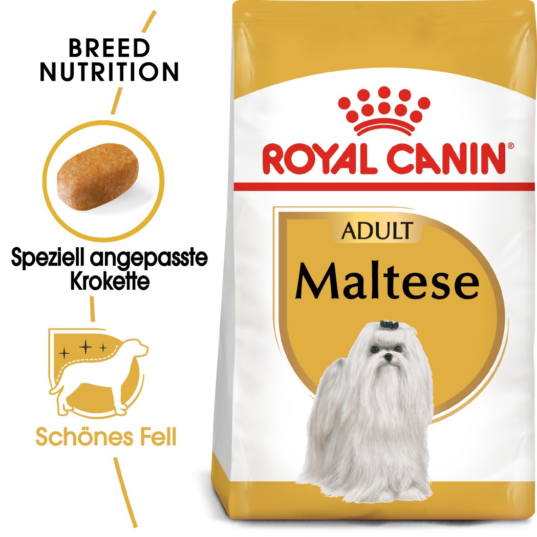 Royal Canin Adult Malteser Hundefutter