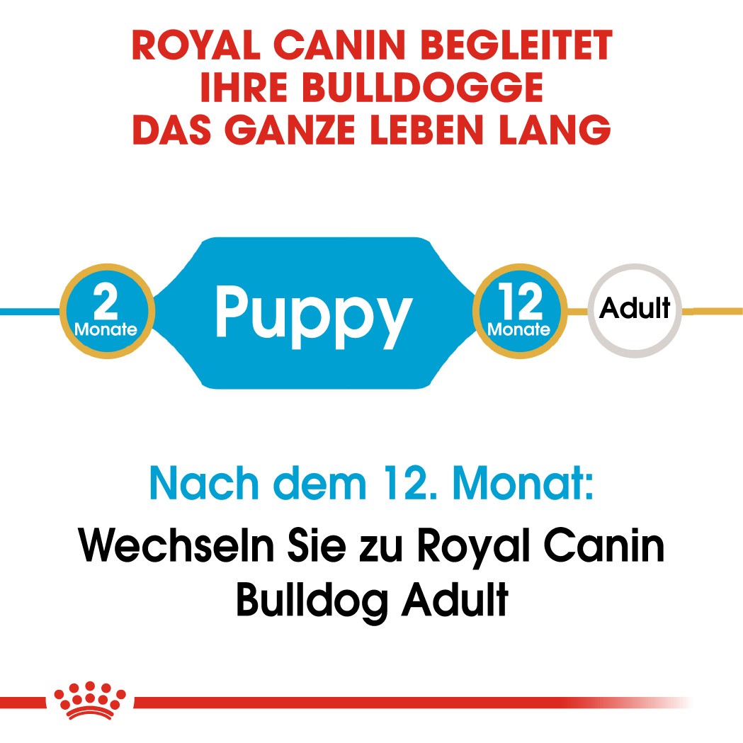 Royal Canin Puppy Bulldog Hundefutter