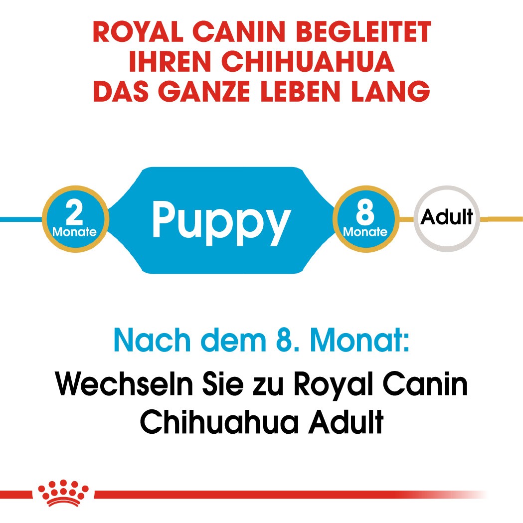 Royal Canin Puppy Chihuahua Hundefutter