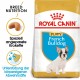 Royal Canin Puppy Französische Bulldogge Hundefutter