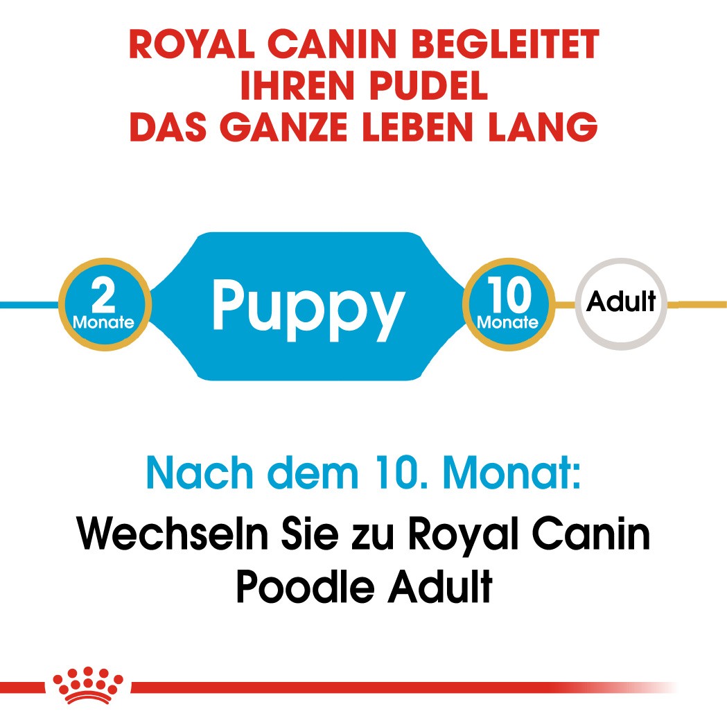 Royal Canin Poodle 33 junior hondenvoer