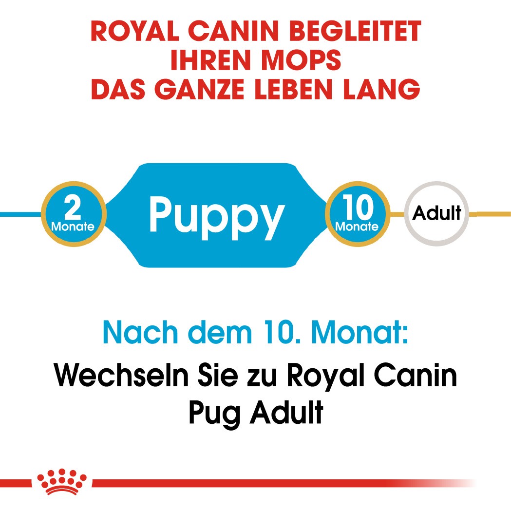 Royal Canin Puppy Mops Hundefutter