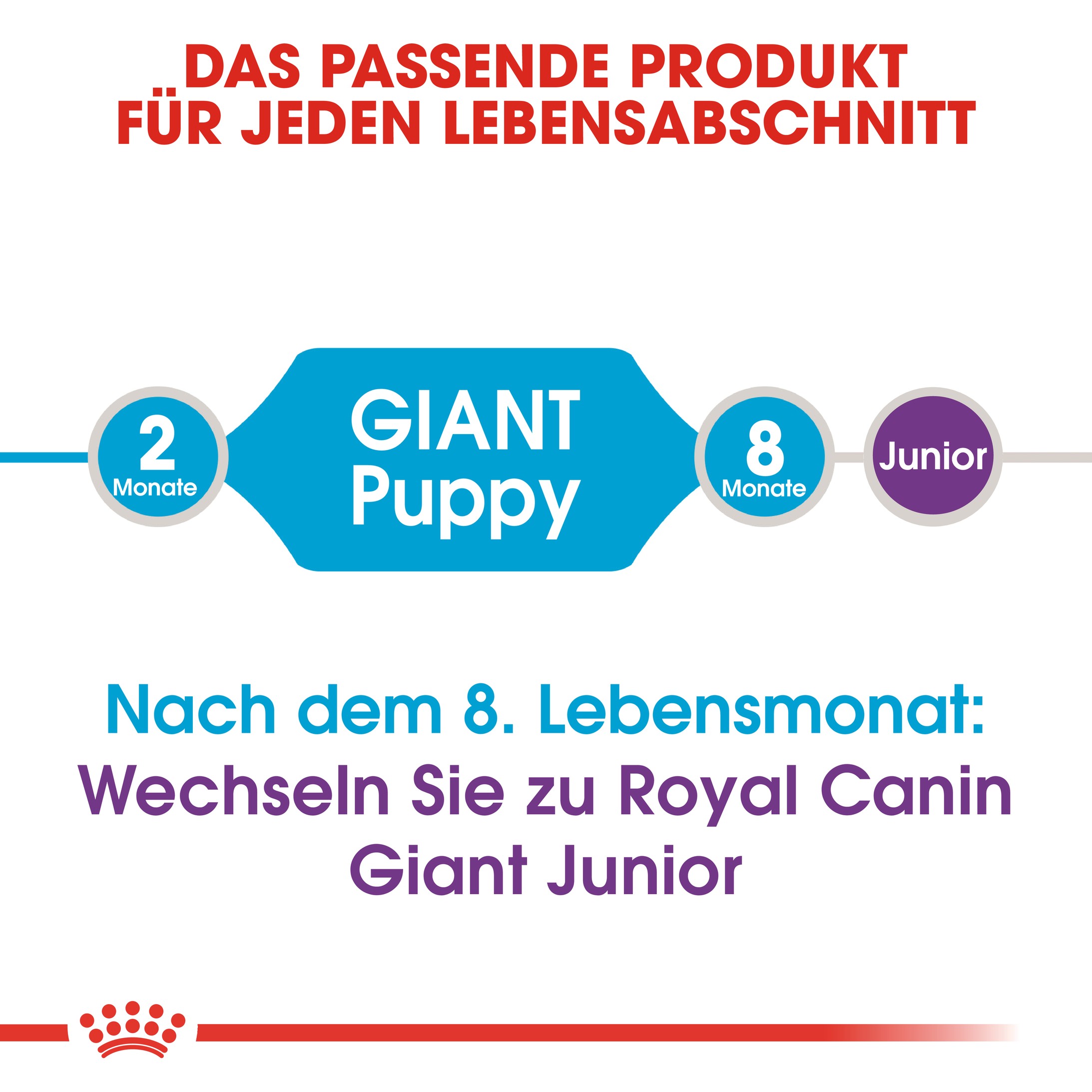 Royal Canin Giant Puppy Hundefutter