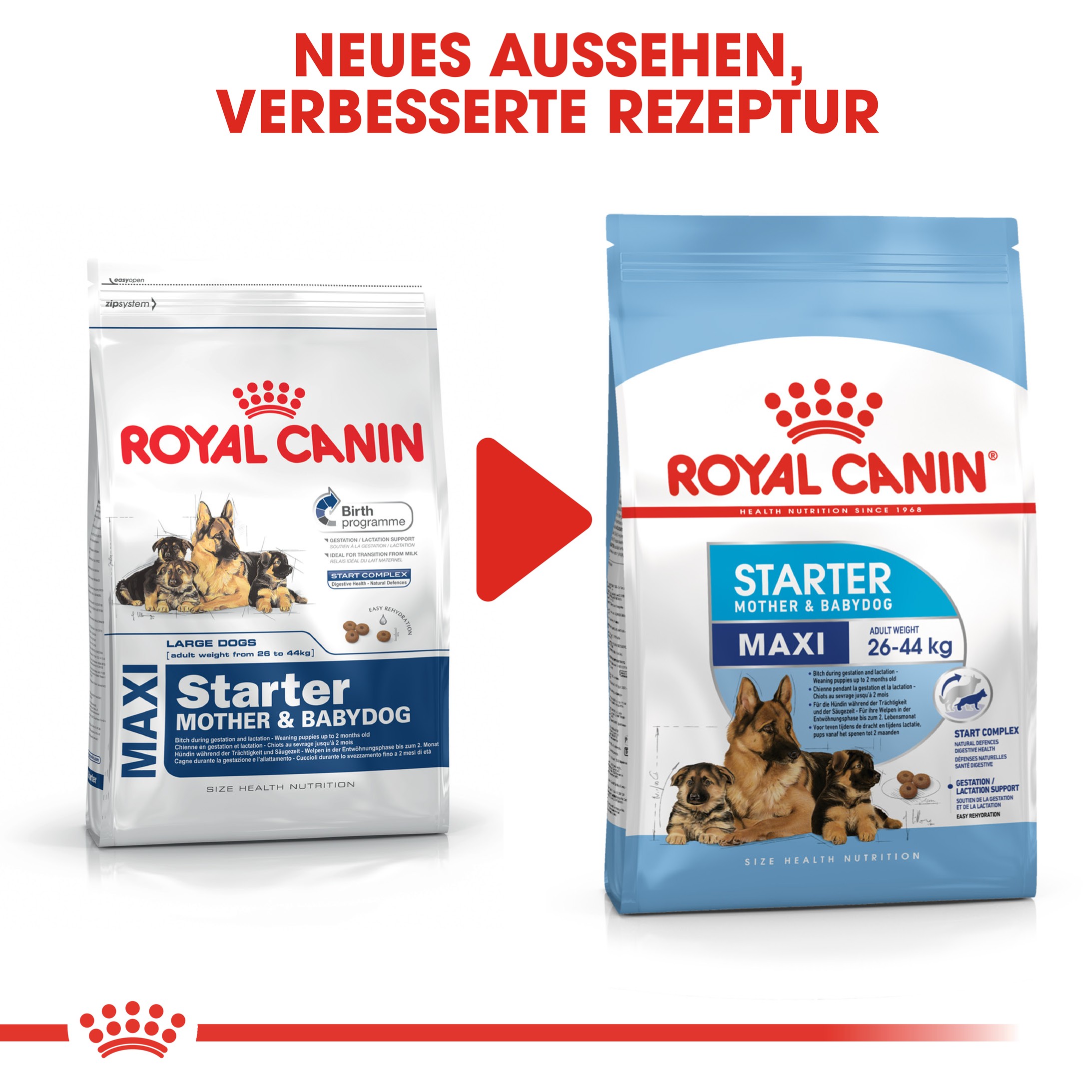 Royal Canin Maxi Starter Hundefutter