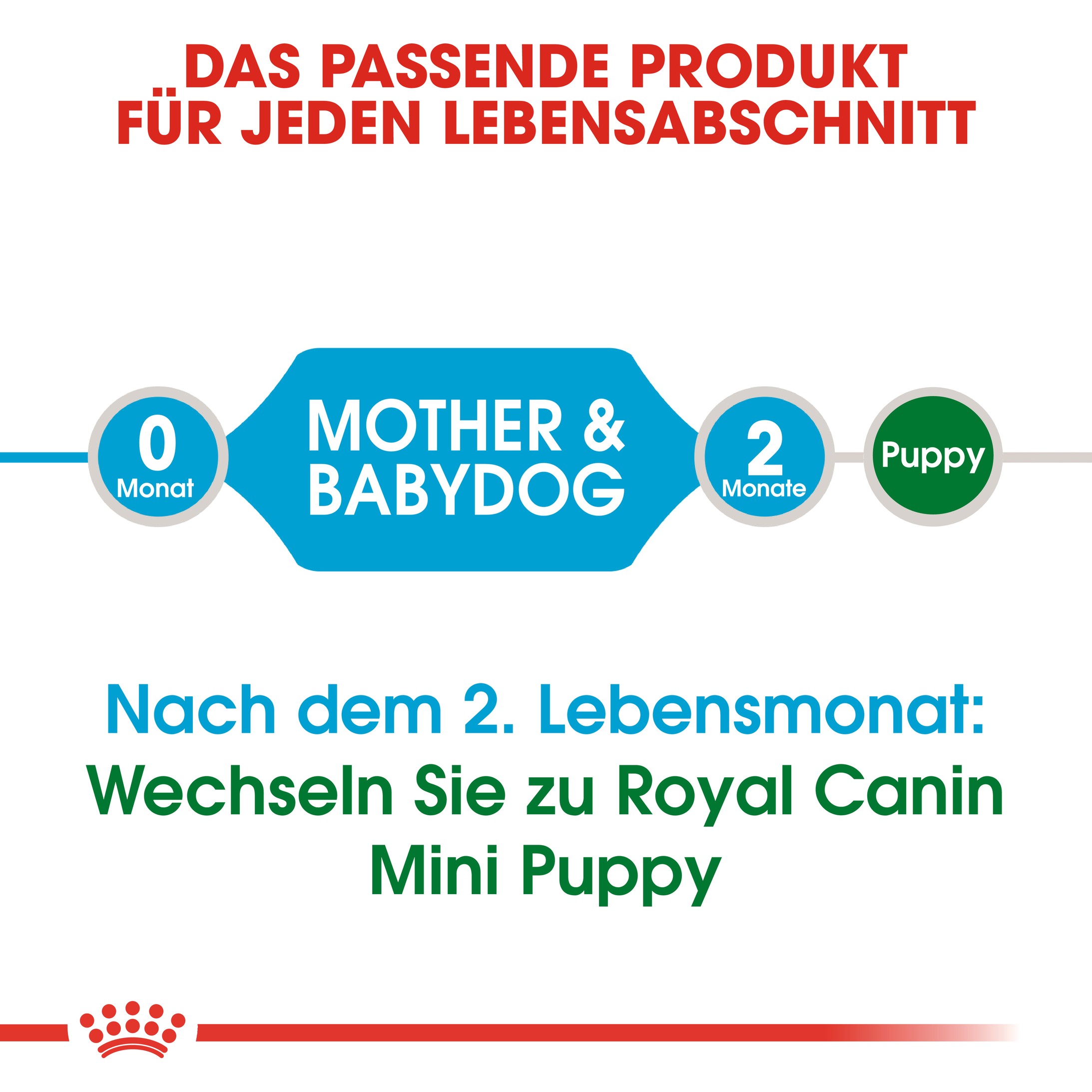 Royal Canin Mini Starter 