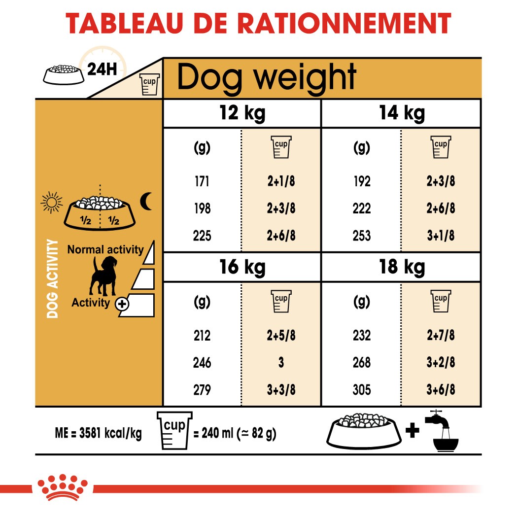 Royal Canin Adult Beagle pour chien