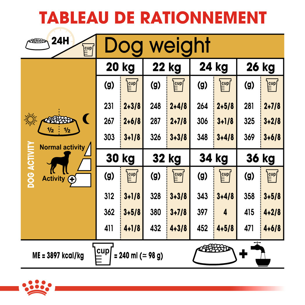 Royal Canin Adult Dalmatien pour chien