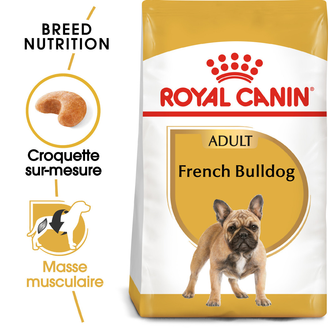Royal Canin Adult Bouledogue Français pour chien