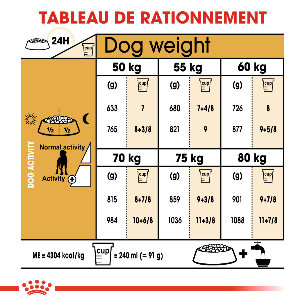 Royal Canin Adult Dogue Allemand pour chien