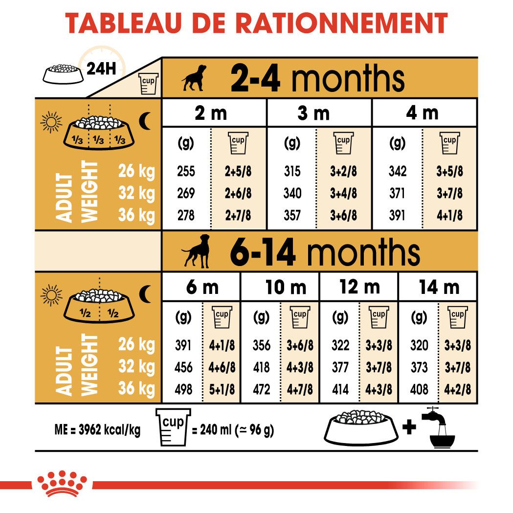 Royal Canin Puppy Boxer pour chiot