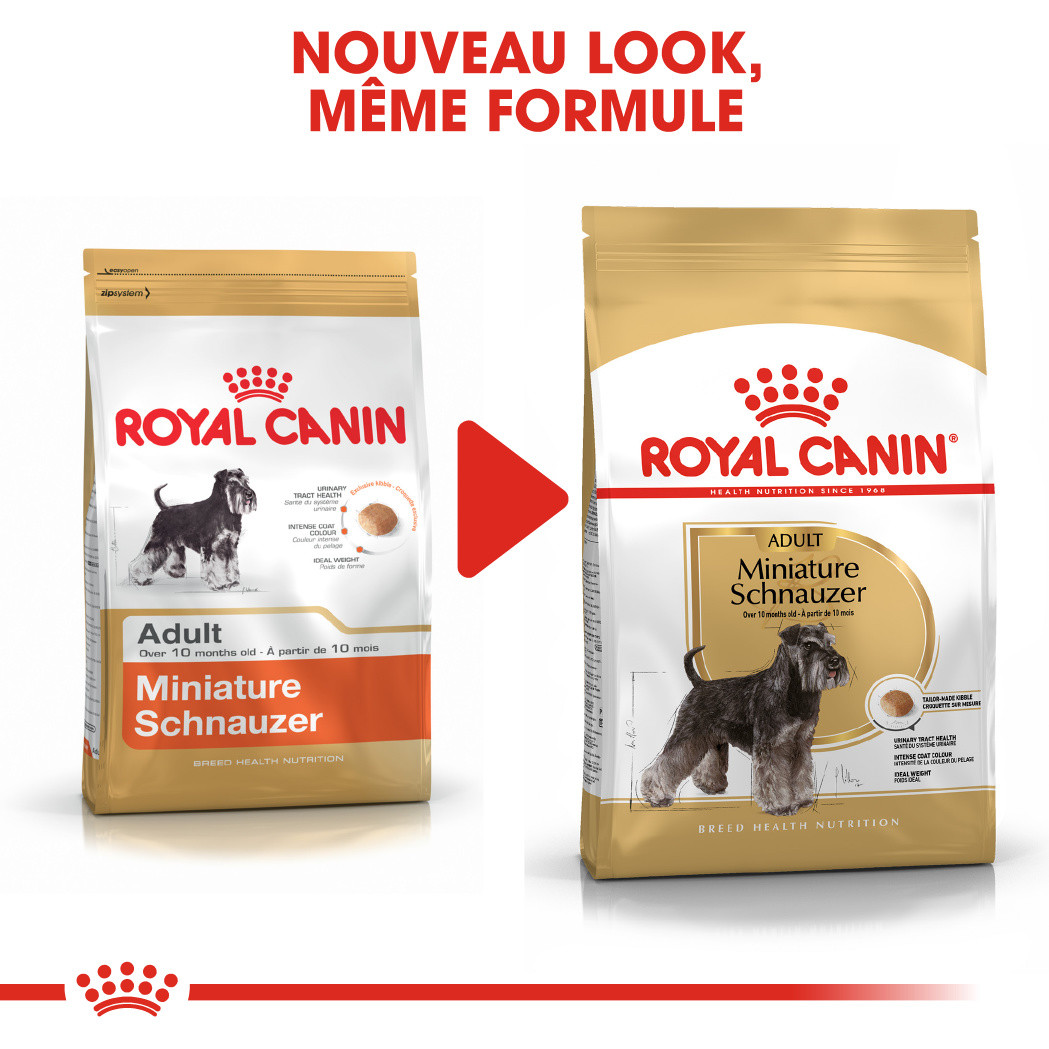 Royal Canin Adult Schnauzer Nain pour chien