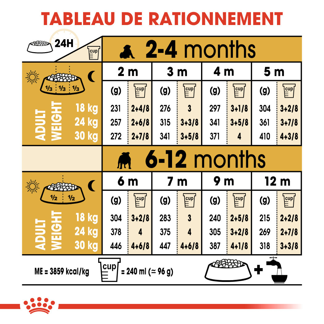 Royal Canin Puppy Bulldog pour chiot