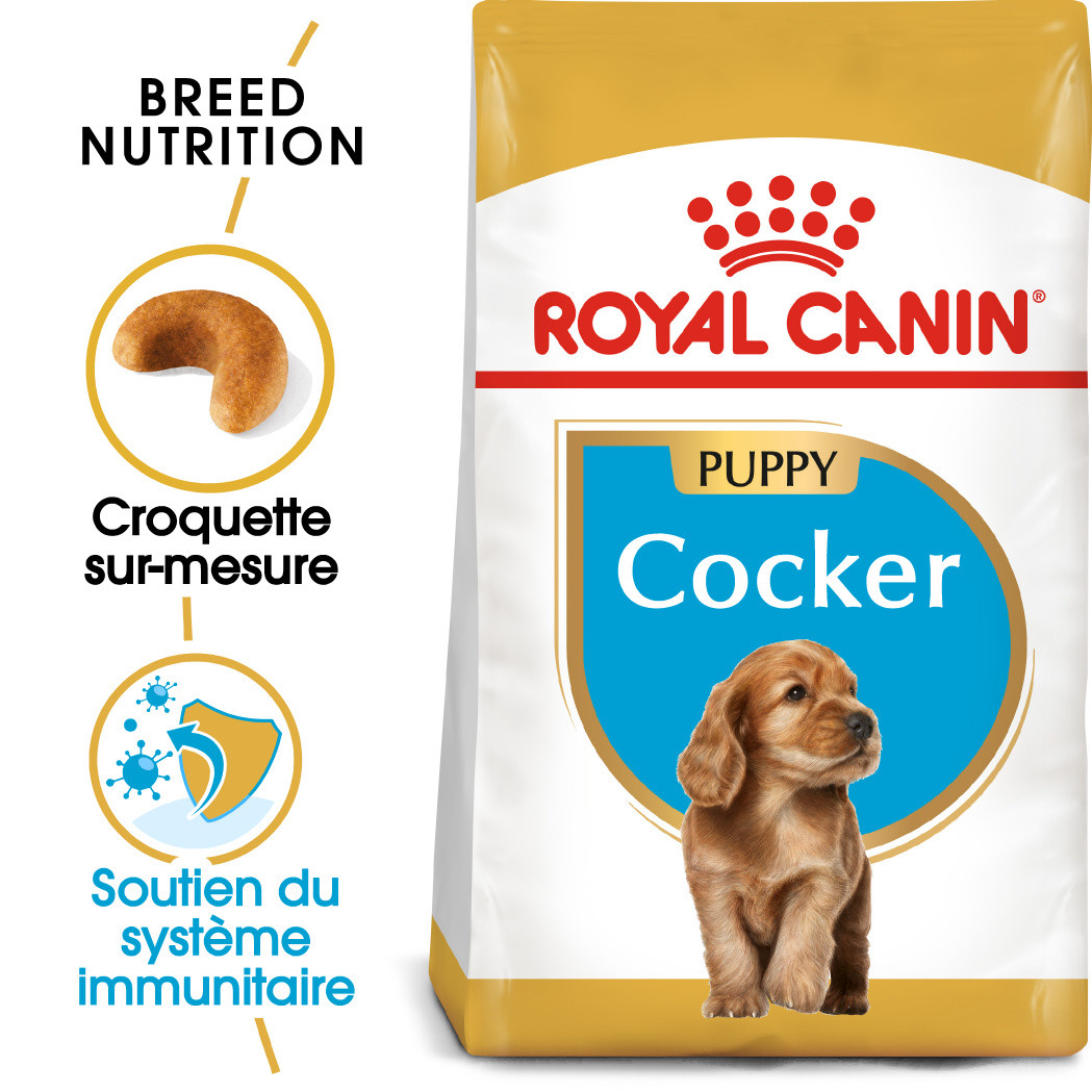 Royal Canin Puppy Cocker Spaniel pour chiot