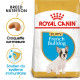 Royal Canin Puppy Bouledogue Français pour chiot