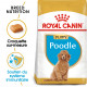 Royal Canin Puppy Caniche pour chiot
