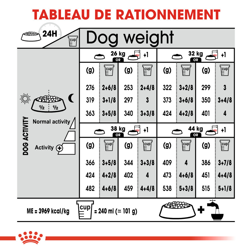 Royal Canin Maxi Dermacomfort pour chien