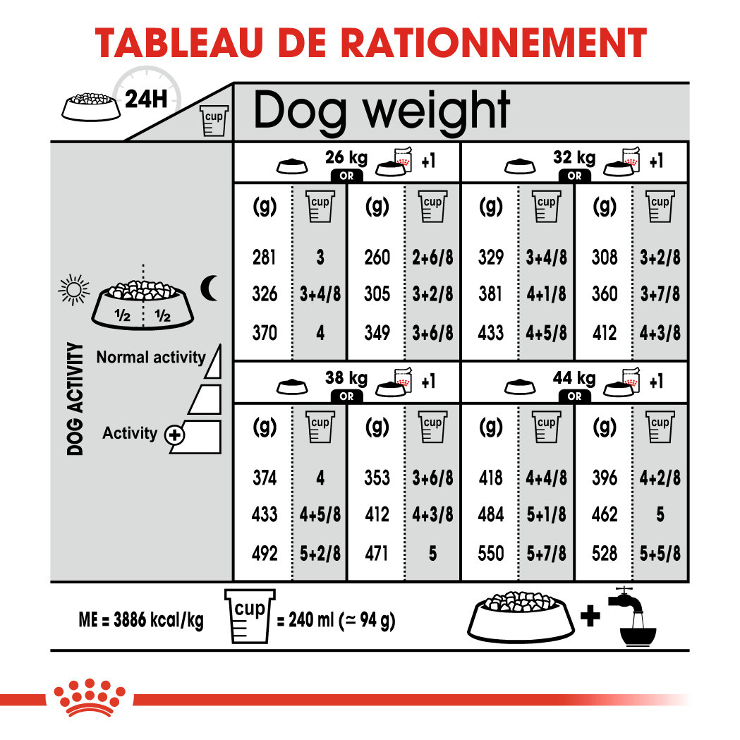 Royal Canin Maxi Digestive Care pour chien