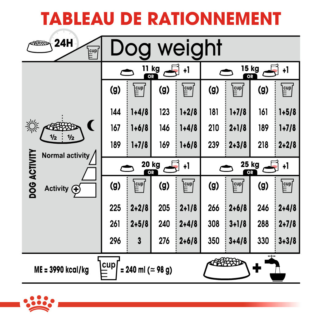 Royal Canin Medium Digestive Care pour chien