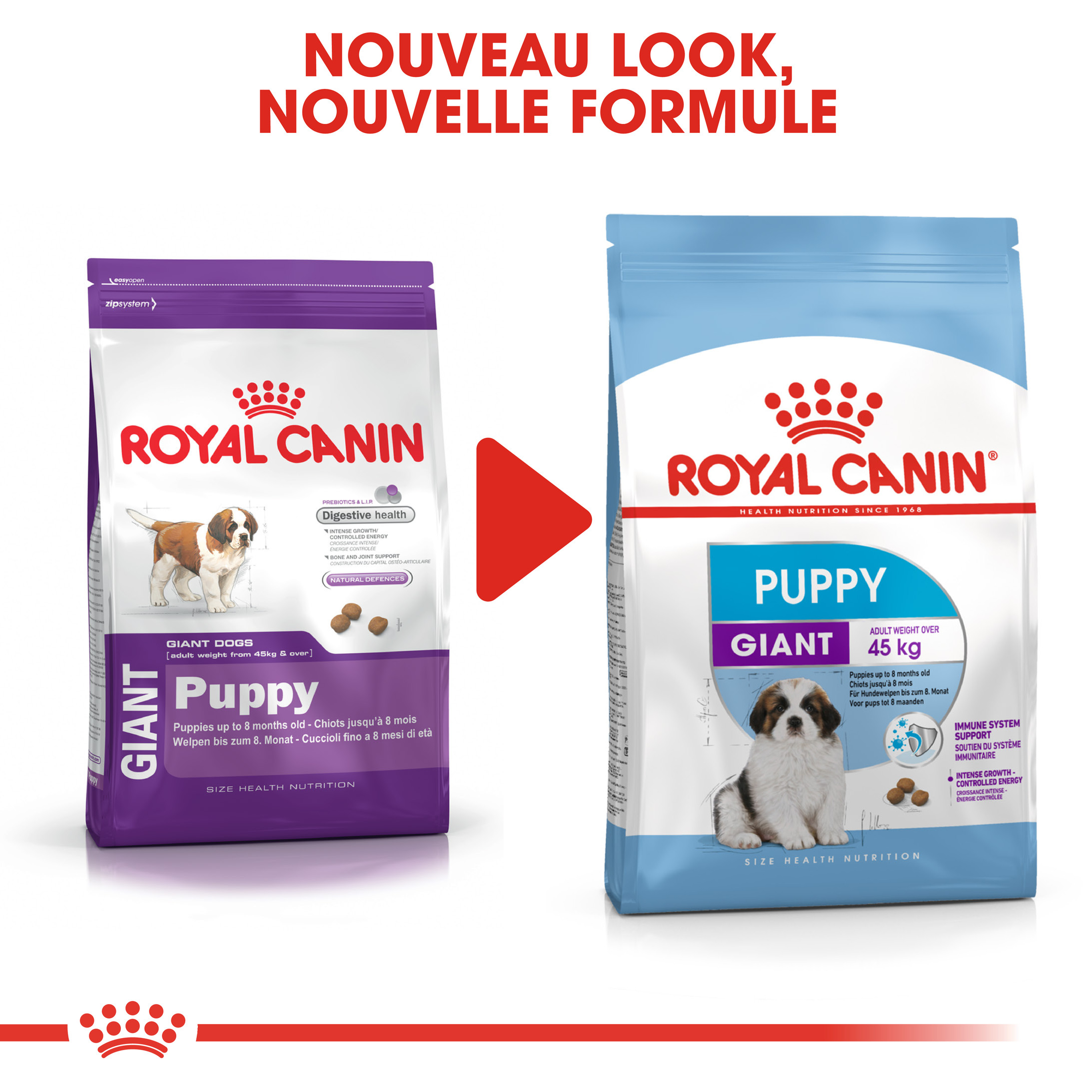 Royal Canin Giant Puppy pour chiot