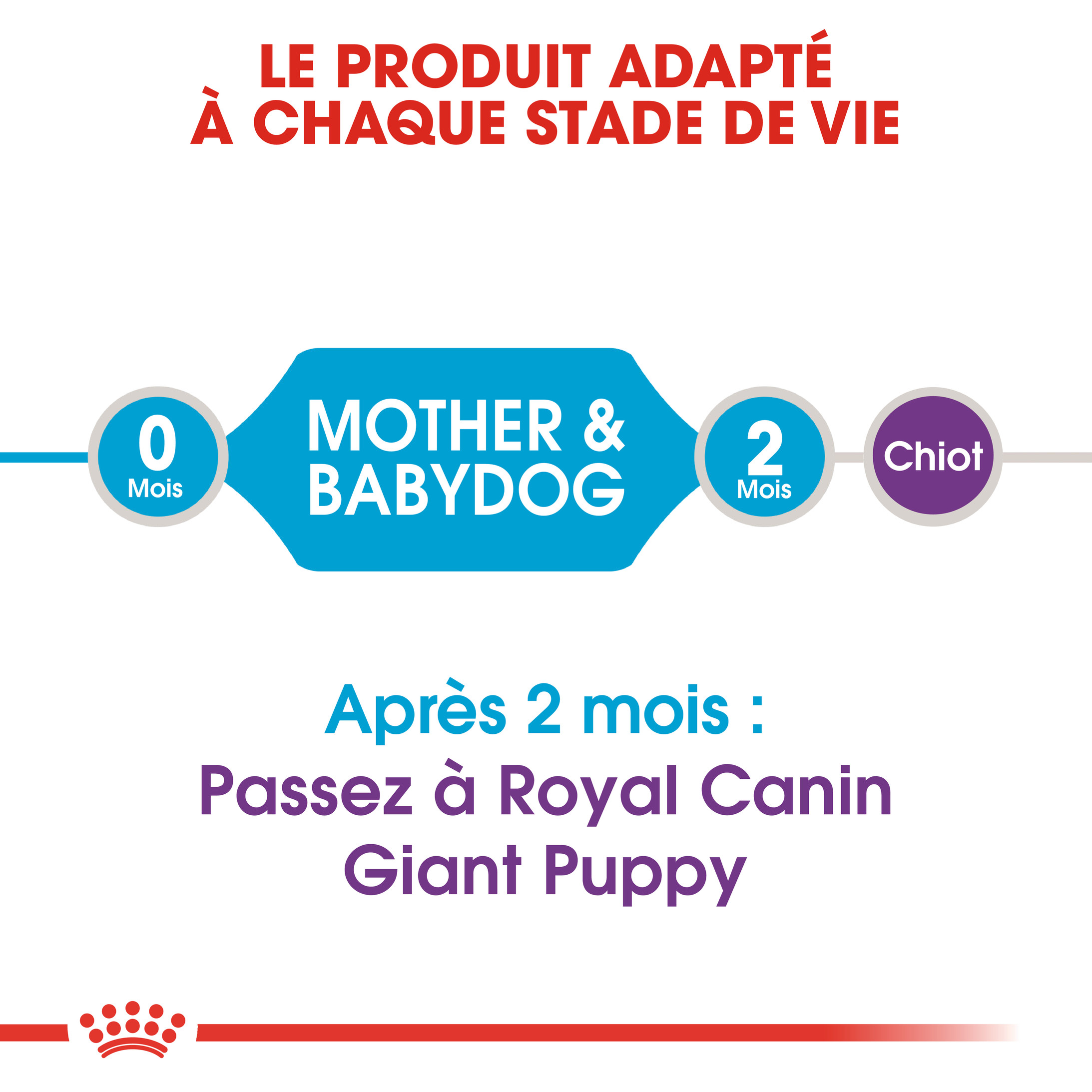 Royal Canin Giant Starter Mother & Babydog pour chiot