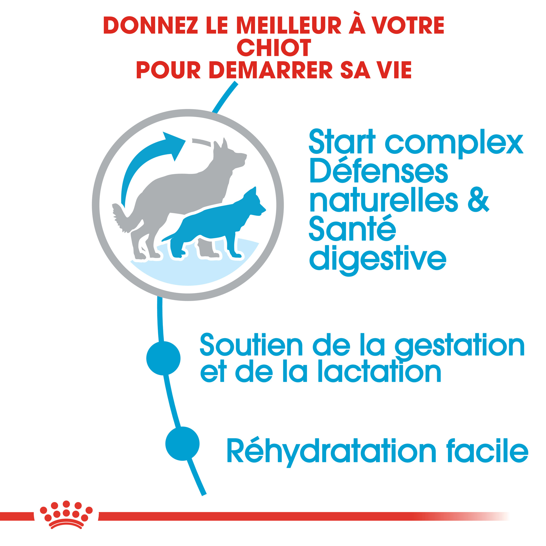 Royal Canin Maxi Starter Mother & Babydog pour chiot