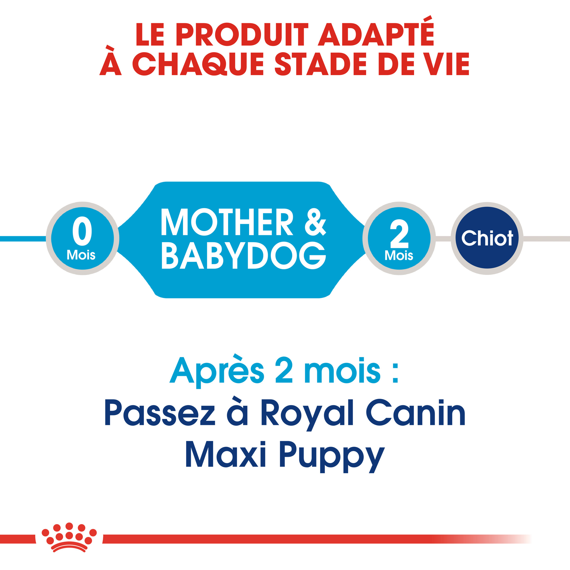 Royal Canin Maxi Starter Mother & Babydog pour chiot