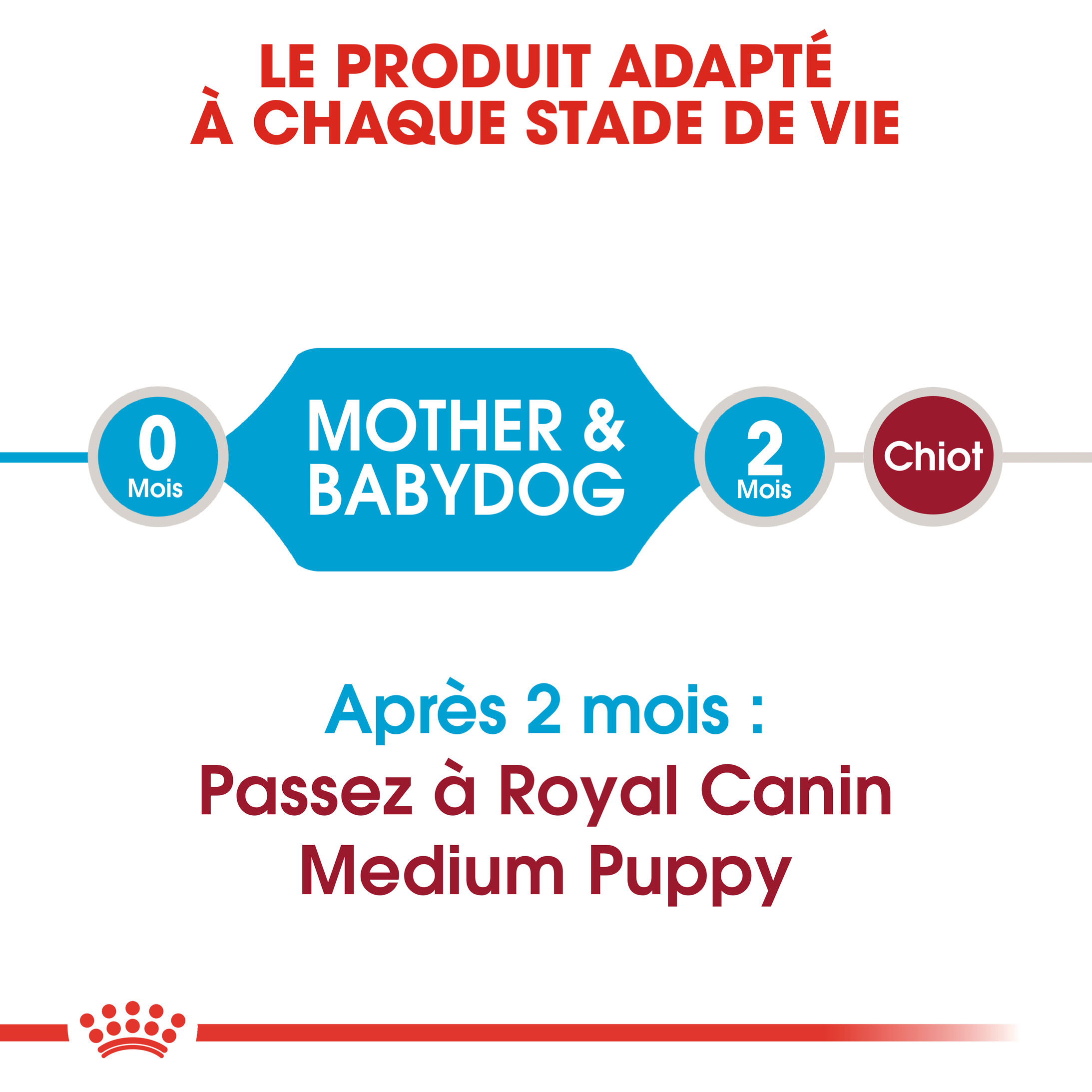 Royal Canin Medium Starter Mother and Babydog