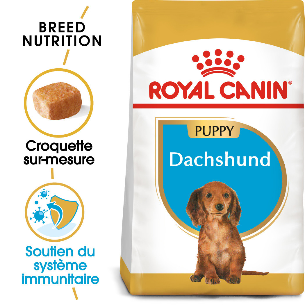 Royal Canin Puppy Teckel pour chiot