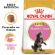 Royal Canin Chaton Maine Coon 36