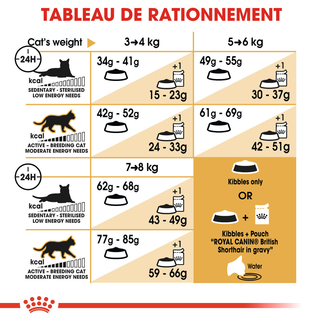 Royal Canin Adult British Shorthair pour chat