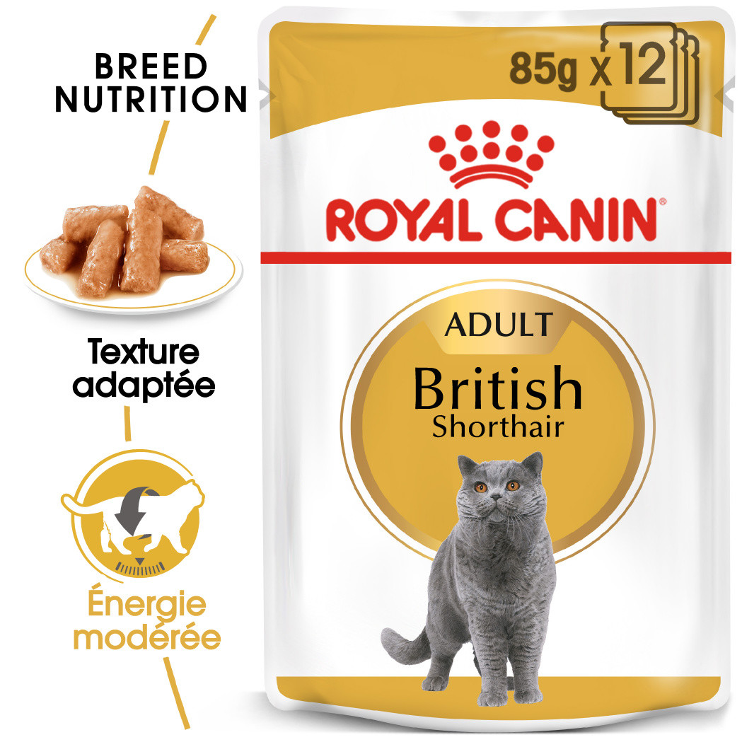 Royal Canin British Shorthair Adult Pouch