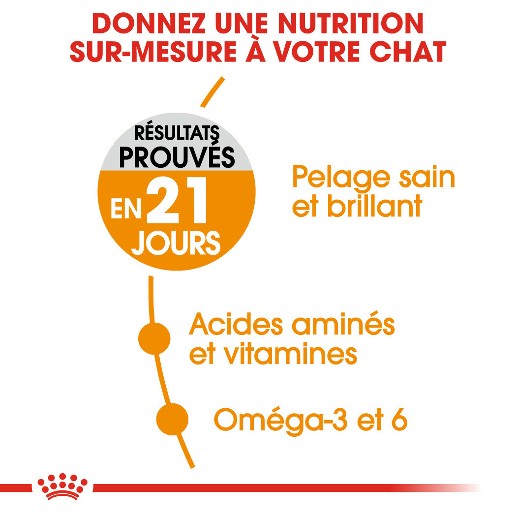 Royal Canin Hair & Skin Care pour chat