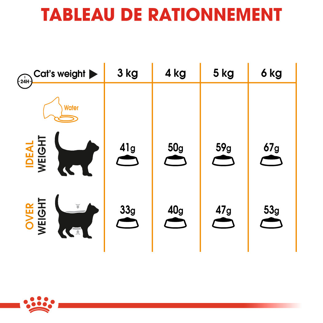 Royal Canin Hair & Skin Care pour chat