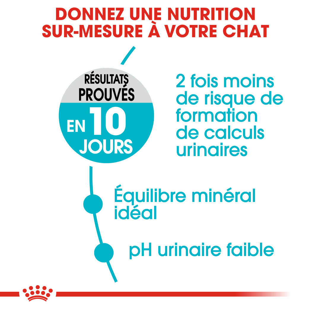 Royal Canin Urinary Care pour chat