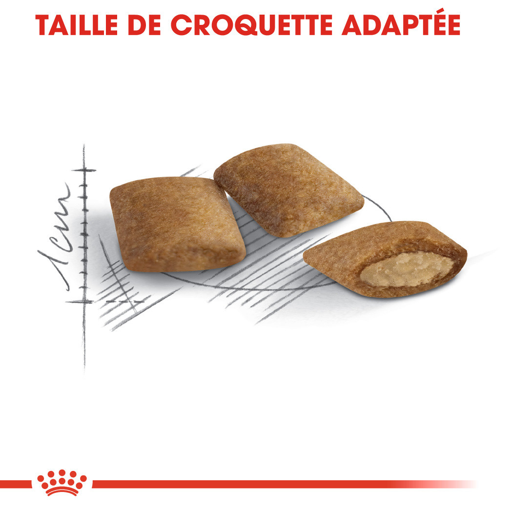 Royal Canin Ageing 12+ pour chats