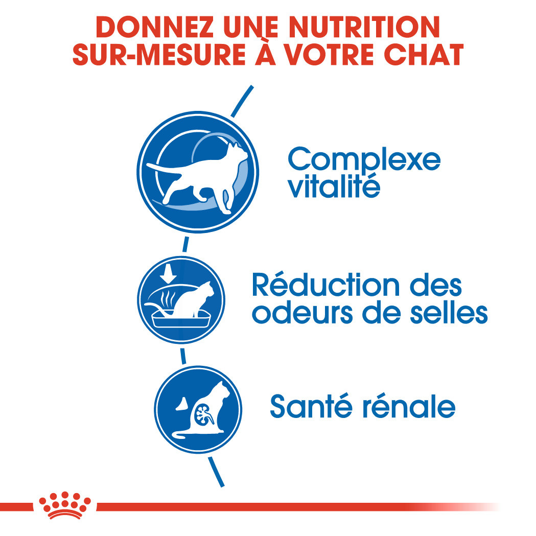 Royal Canin Indoor 7+ pour chat