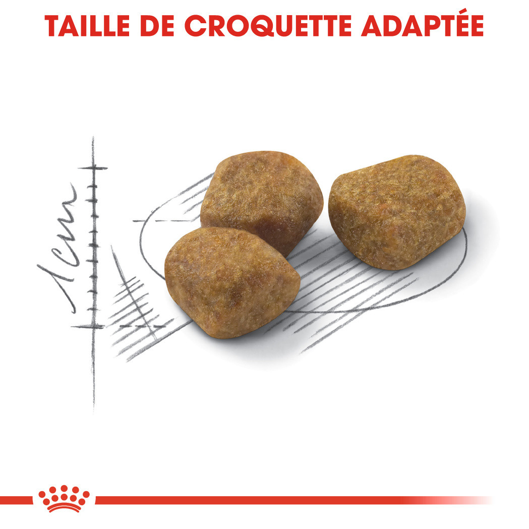 Royal Canin Indoor 7+ pour chat