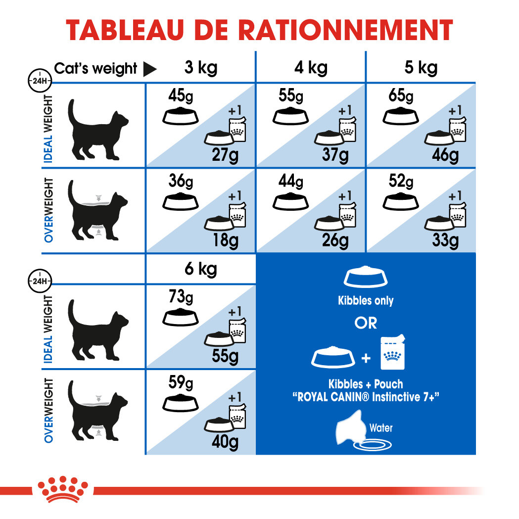 Royal Canin Indoor 7+ pour chat