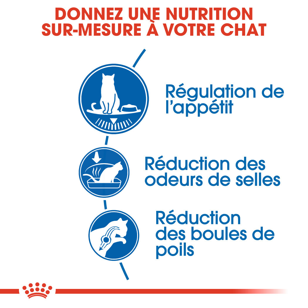 Royal Canin Indoor Appetite Control pour chat